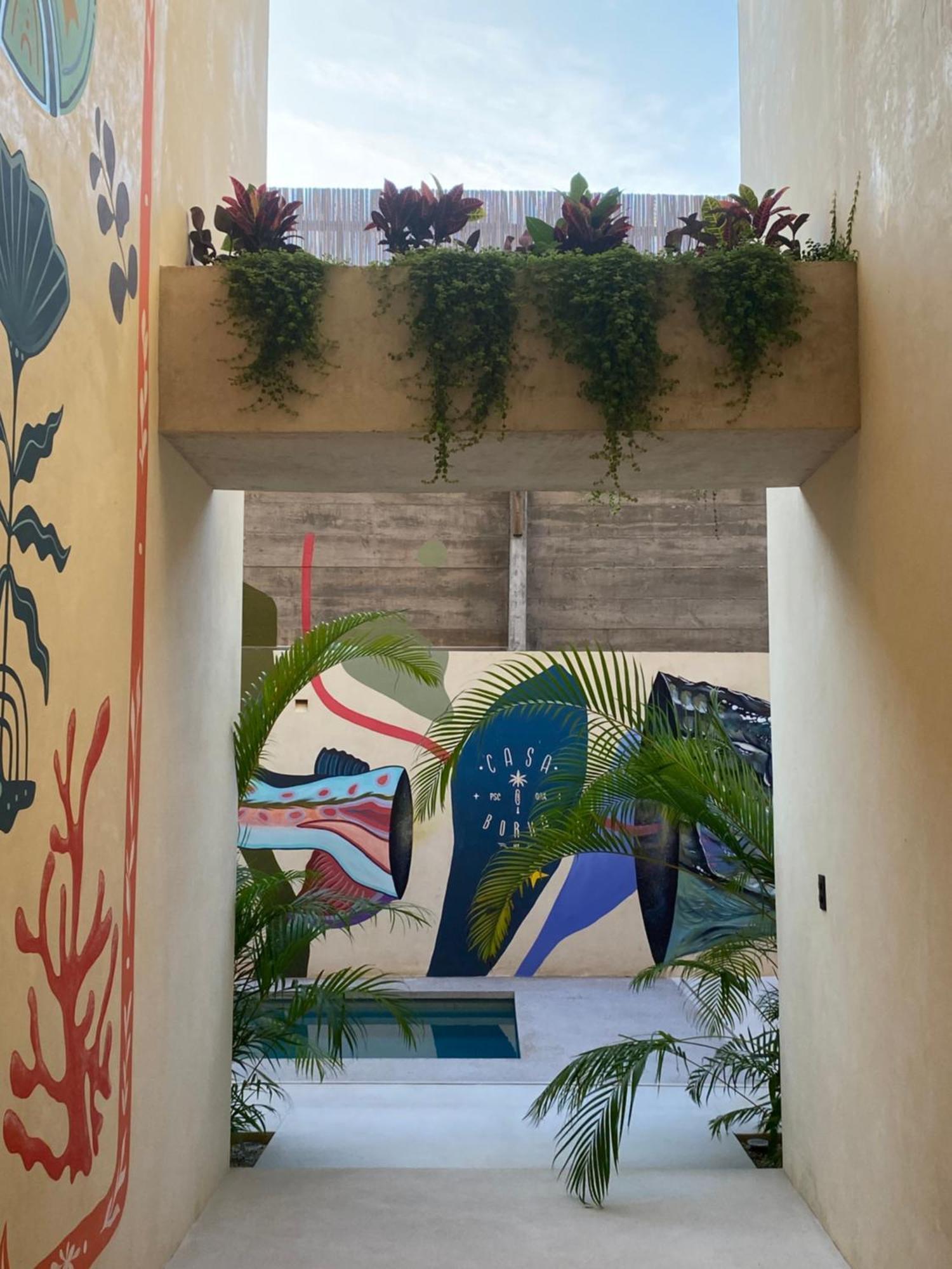 Casa Borka Lägenhet Puerto Escondido  Exteriör bild