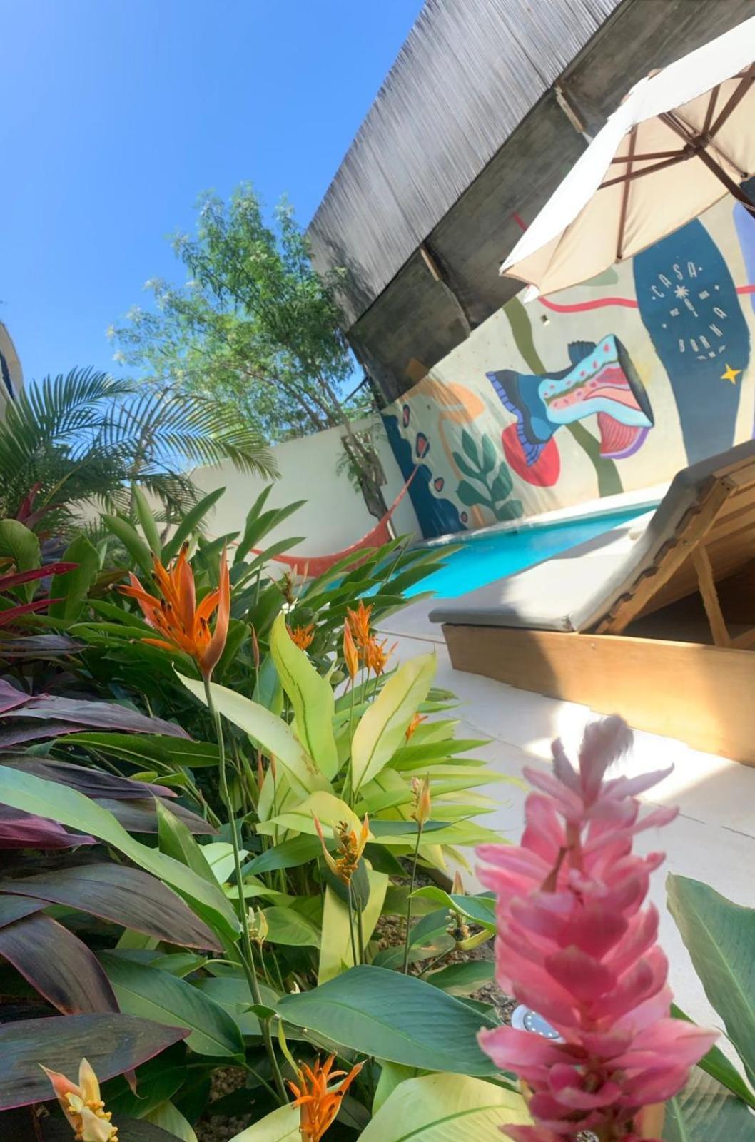 Casa Borka Lägenhet Puerto Escondido  Exteriör bild