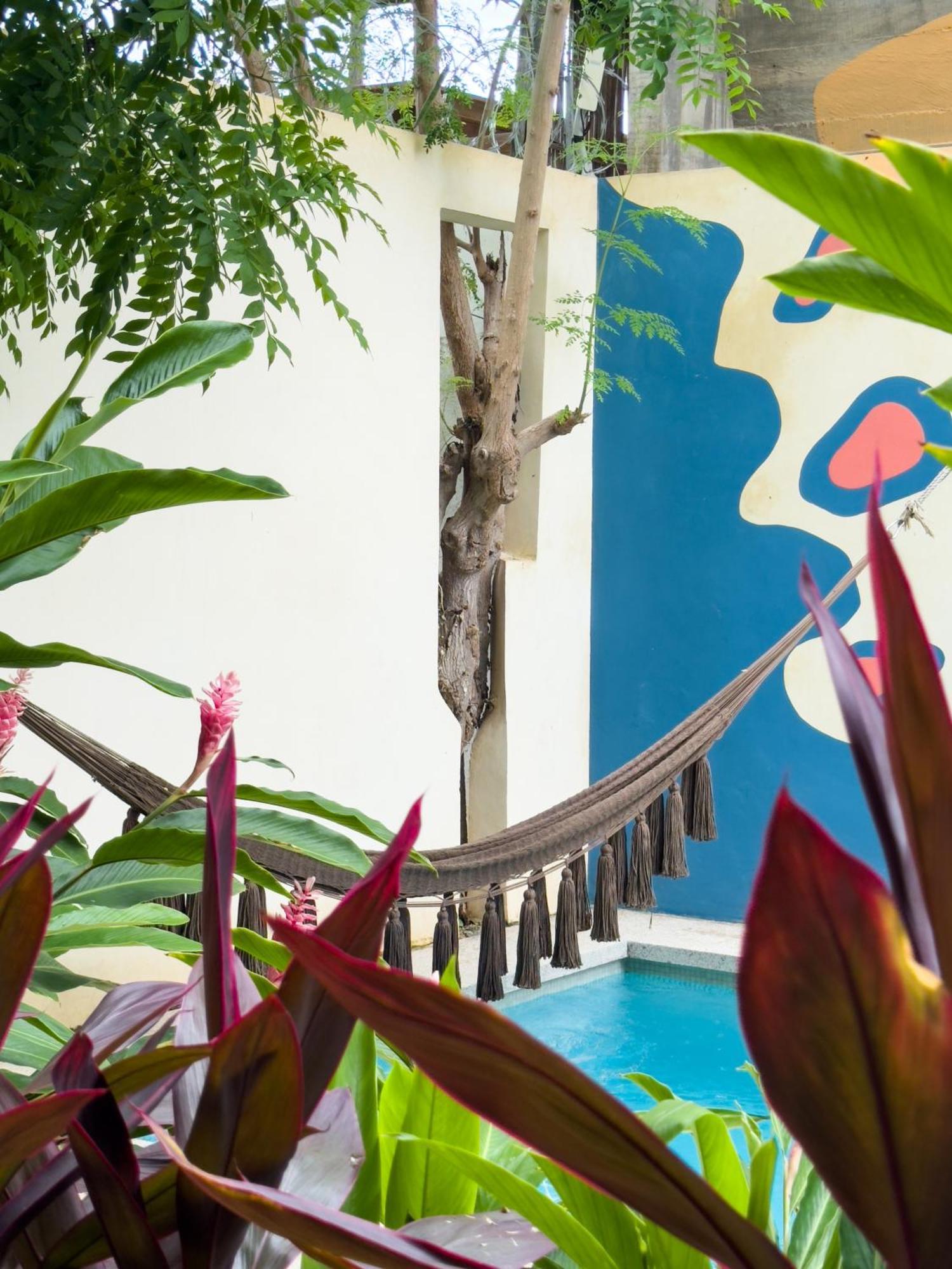 Casa Borka Lägenhet Puerto Escondido  Exteriör bild
